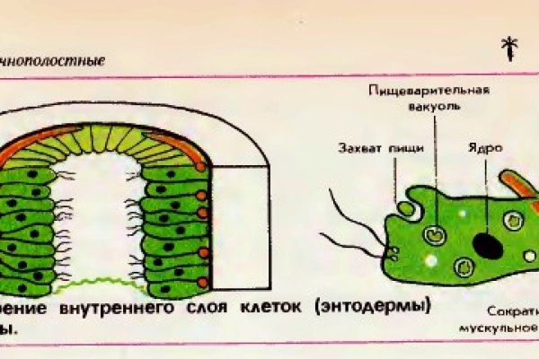 Кракен зеркало рабочее на сегодня