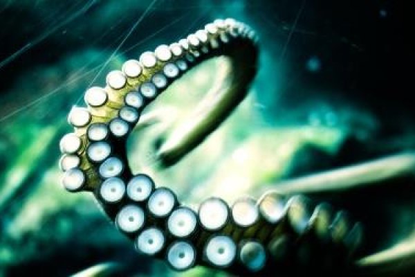 Kraken at17