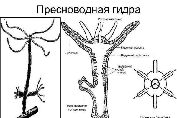 Кракен маркетплейс что